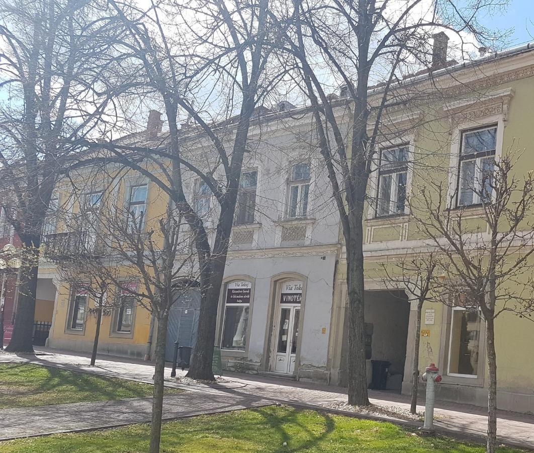 Via Tokaj Vendégház Satoraljaujhely Exterior foto