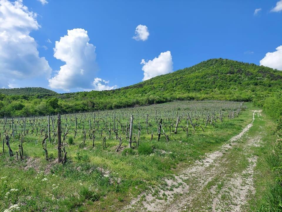 Via Tokaj Vendégház Satoraljaujhely Exterior foto