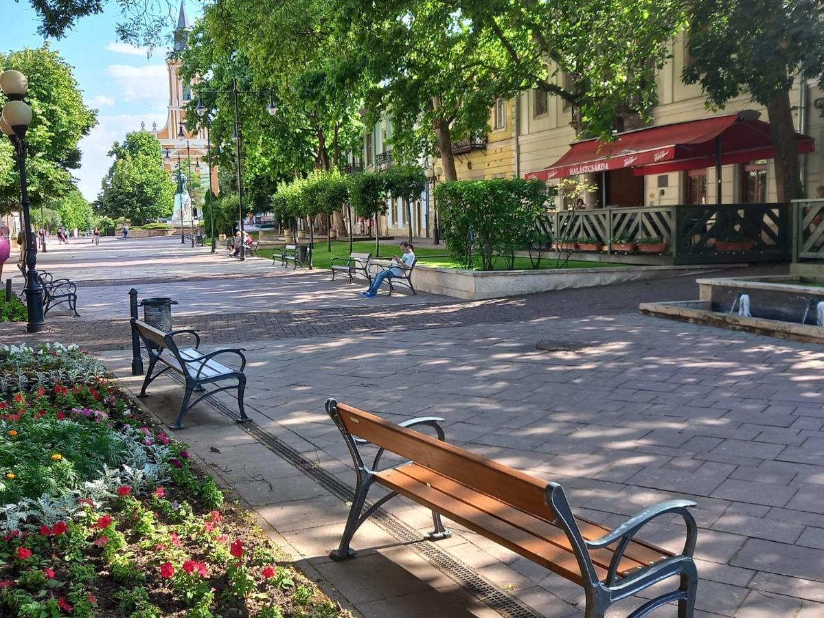 Via Tokaj Vendégház Satoraljaujhely Exterior foto