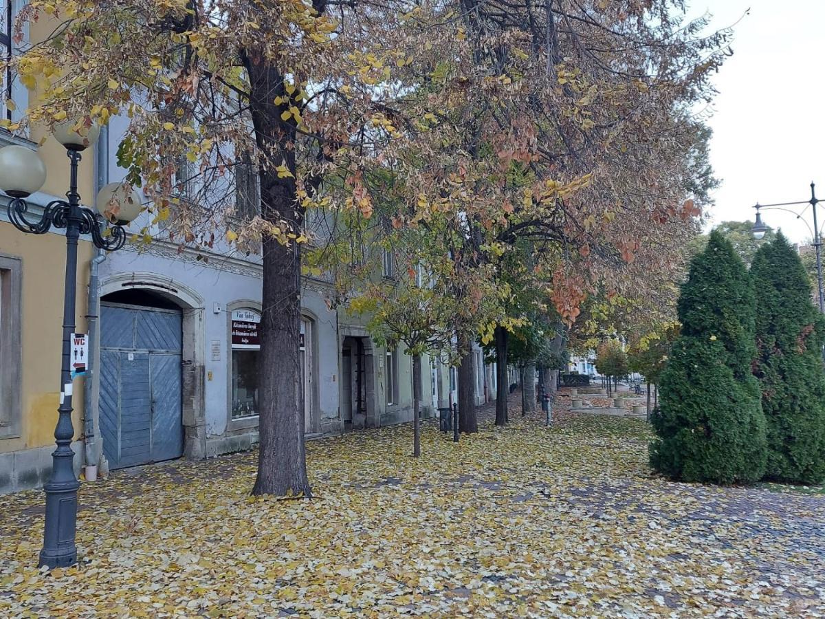 Via Tokaj Vendégház Satoraljaujhely Exterior foto