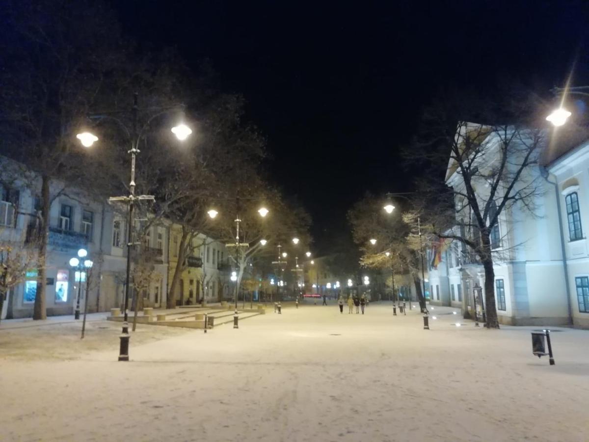 Via Tokaj Vendégház Satoraljaujhely Exterior foto
