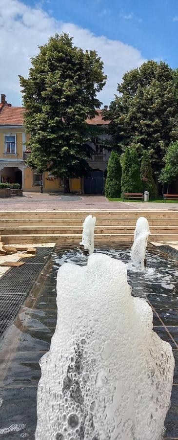 Via Tokaj Vendégház Satoraljaujhely Exterior foto