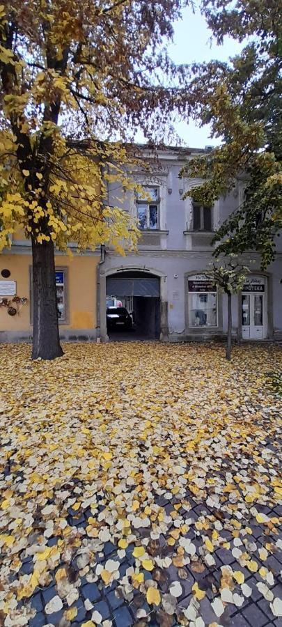 Via Tokaj Vendégház Satoraljaujhely Exterior foto